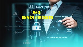 What to expect: WGU’s Scripting and Programming-D278