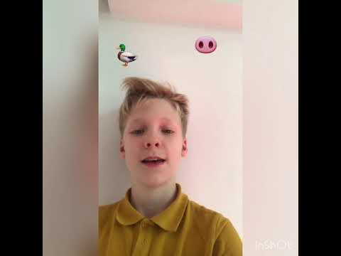 Top 5 kwajongens streken