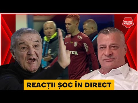 Nelutu Varga vs Gigi Becali, CONTRE DURE IN DIRECT: “OPRESTE-TE! VEZI-TI DE ECHIPA TA!”