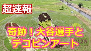奇跡！大谷選手と！デコピンアート