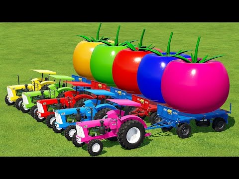 LOAD & TRANSPORT GIANT TOMATOES WITH CBT TRACTORS - Farming Simulator 22