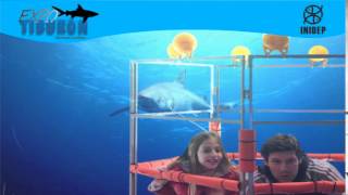 DIA 2 Expo Tiburon313