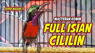 Download lagu PANCINGAN KONIN GACOR FULL ISIAN CILILIN SEJALUR !! COCOK UNTUK MASTERAN KOLIBRI NINJA BAHAN mp3