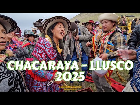 Gran Jaykuna Chacaraya - Llusco 2025 Completo