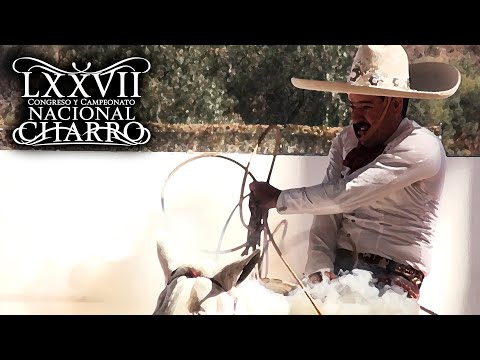 PIALES ON THE CANVAS day 20 (semifinal) - Aguascalientes Congress 2021