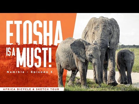 ETOSHA is a MUST! - Bicycle & Sketch tour - Namibia EP5