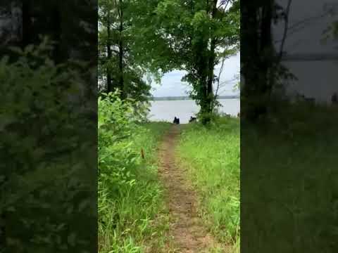 Some campsites have easy access to the lake.