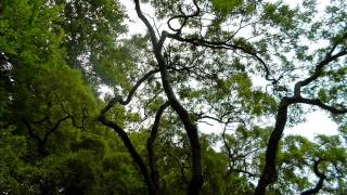 BriBry - Your Life Over Mine