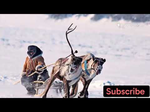 Top 5 places to visit in Sweden 