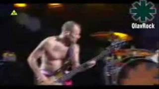 Red Hot Chili Peppers - Readymade Live (High Quality)