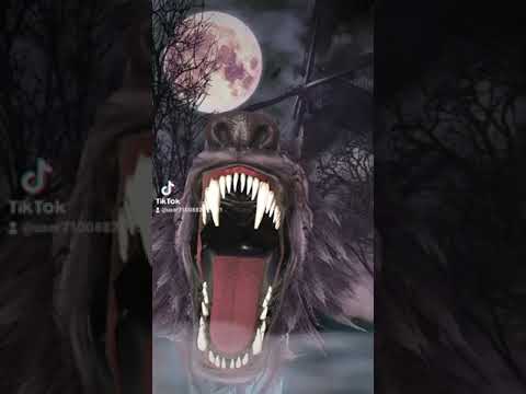 El rugido del lobo thriller