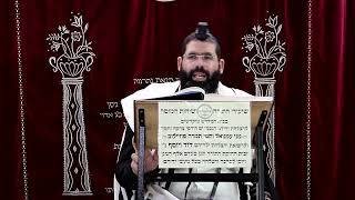 זבחים דף נ"ד ע''ב ¤ הרב נתנאל אברז'ל ¤ בית הכנסת "בית מרדכי" (מוסדות תורת דוד) - התמונה מוצגת ישירות מתוך אתר האינטרנט יוטיוב. זכויות היוצרים בתמונה שייכות ליוצרה. קישור קרדיט למקור התוכן נמצא בתוך דף הסרטון