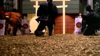 American Ninja 2: The Confrontation (1987) Video