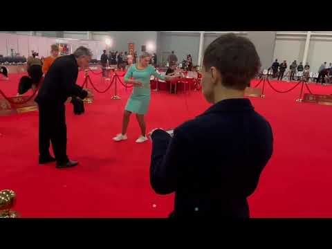 Best Russian Dog 2024 zwergschnauzer black Dreamkiss Well-Bred