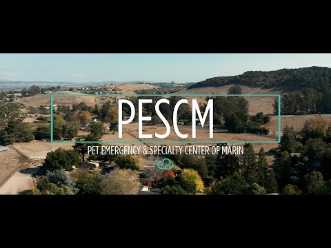 Pet Emergency & Specialty Center of Marin - Customer Success Story (Peter Bowie - Pet Emergency & Specialty Center of Marin)