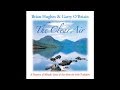 Brian Hughes & Garry O'Briain - The Last Rose of Summer [Audio Stream]