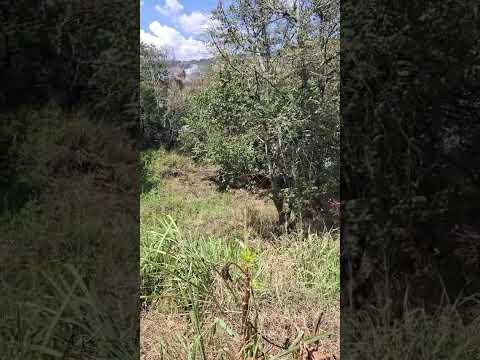 Lotes, Venta, Aguacatal - $2.500.000.000