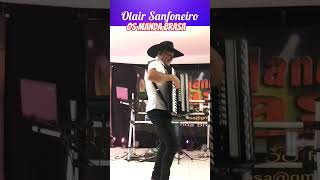 Madrugada de Albino Manique Olair Sanfoneiro solo na Sanfona #music #somodao #roça #baile #musica