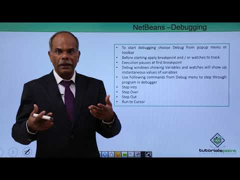 Netbeans Debugging Project