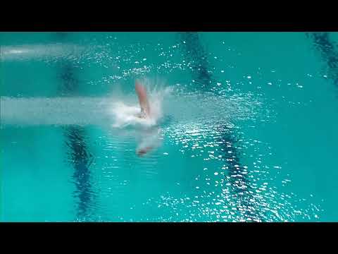 Boys B Platform - Eindhoven Diving Cup 2024