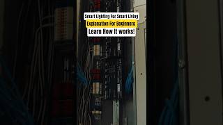 Smart Lighting For Smart Living | Explanation For Beginners | This Is How It works
