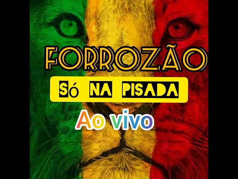 FORROZÃO SÓ NA PISADA/DIFERENTE E ATUALIZADO!!!!