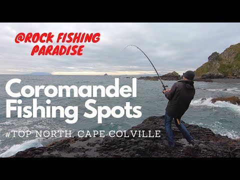 Best fishing spots in Northern Coromandel, New Zealand | Part 1