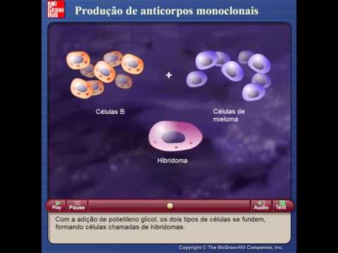 Produção de anticorpos monoclonais