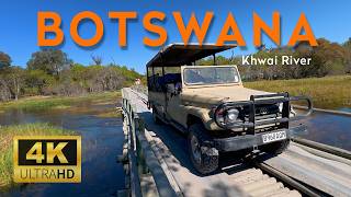 🇧🇼 BOTSWANA 2026 (3) Okavango delta - nėra nieko, visai nieko #botswana #africa #okavangodelta