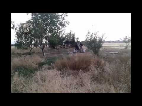 استهداف مقرات النظام على جبهة الكم بقذائف الهاون 120 من قبل لواء الصمود جنود الله بالاشتراك مع لواء الإيمان بالله