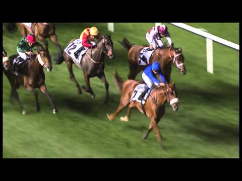 14.02.2013 Meydan (Dubai-UAE) 6.Race Range Rover Sport Trophy - 2.435 m