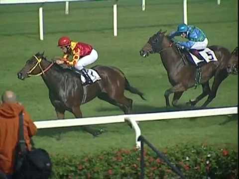 Premio Omenoni 2013 (GR 3)