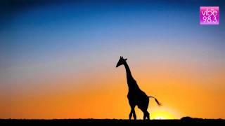 Rod Stewart - Young Turks