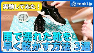 [Experiment] 3 ways to quickly dry your rain-soaked shoes! We tested which method dries the fastest.