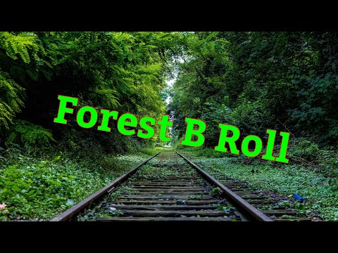 #natural #drone #shorts NATURE FOREST B ROLL BROLL