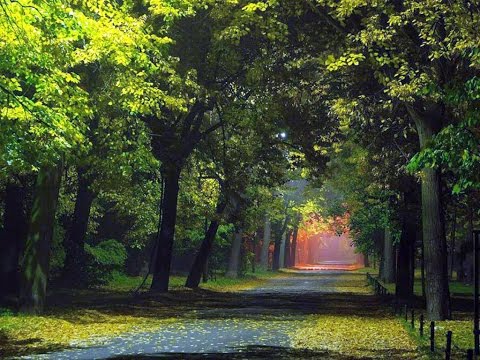 Examen led by Dan Dixon