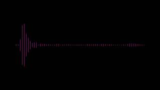 Lil Wayne ft  Petey Pablo - Gangsta Shit