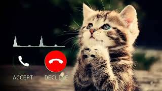 Cat Cute Sms message ringtone   Message Tone   new
