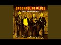Rockin` at Midnite