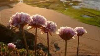 Les immortelles.wmv - Jean-Pierre FERLAND