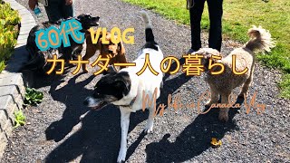 60代カナダ一人暮らしのVlog