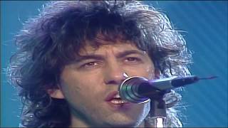 Bob Geldof - This Is The World Calling 1987