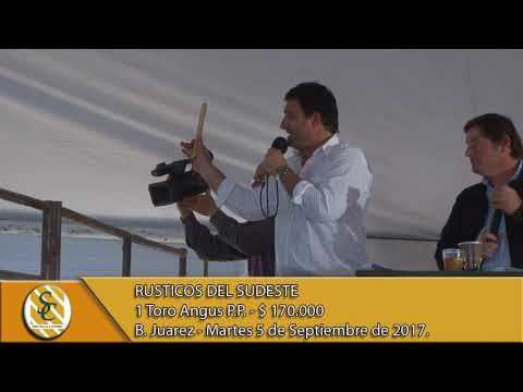 05-09-17 - Venta de Toros PP. - Rústicos del Sudeste - B.Juarez