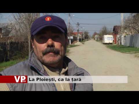 La Ploiești, ca la țară