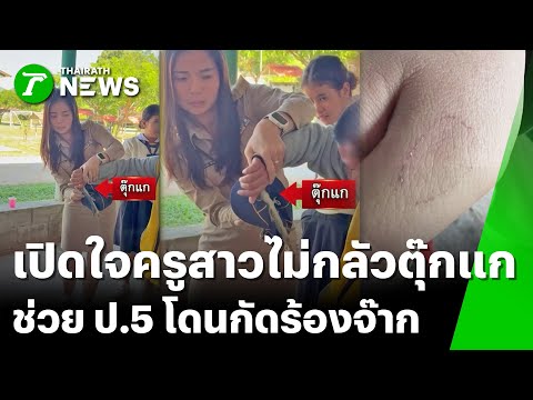 คลิกเพื่อดูคลิปวิดีโอ