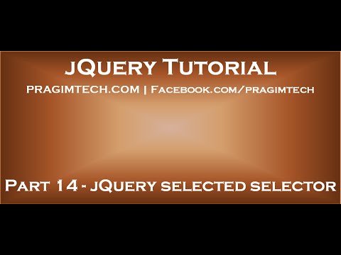 jQuery selected selector