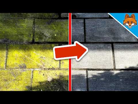 Grünbelag (mühelos) von Pflastersteinen entfernen💥(Mit DIESEM Wundermittel)🤯