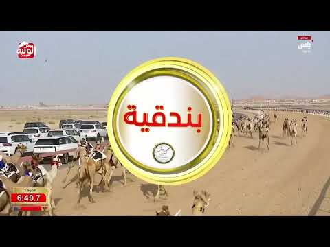  ش 2 بندقية الزمول (الخفجي) عبدالعزيز موسى ال موسى 9:15:31 , ختامي العين 2026/10/08 الروضة