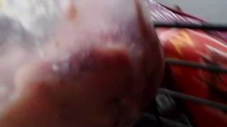 me feeding sterilised dogs brownie pup3 and bronie pup2 and brownie pup and brokepack nera roundabou