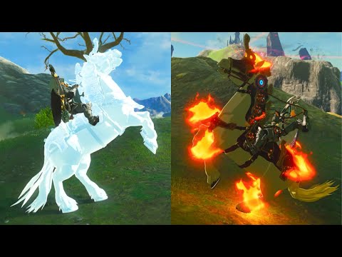 BOTW How to get the Fire And Ice Horse | Breath of the Wild Glitch Tutorial | #botw #zelda